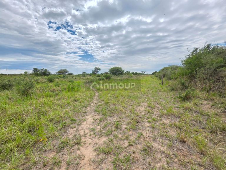 Campo en Venta en Santa Maria, Cordoba