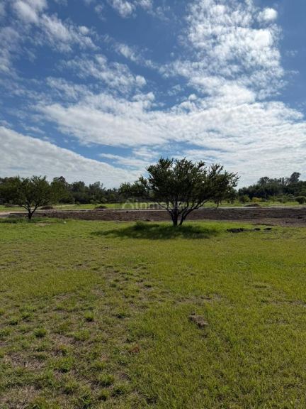 Terreno en Venta en Capital, Cordoba