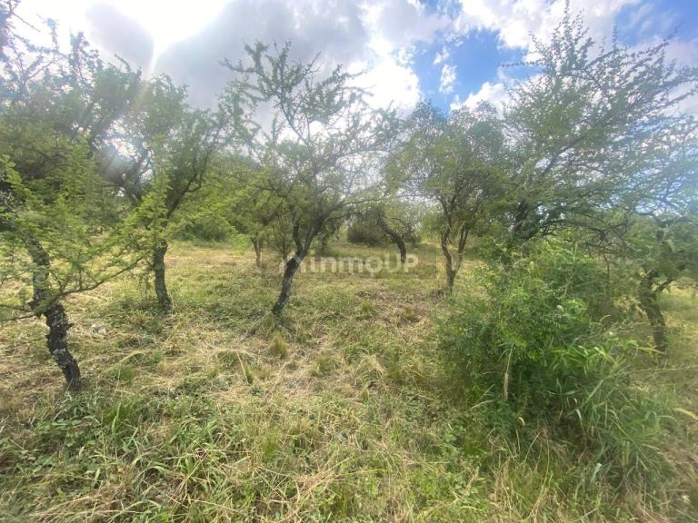 Terreno en Venta en Santa Maria, Cordoba