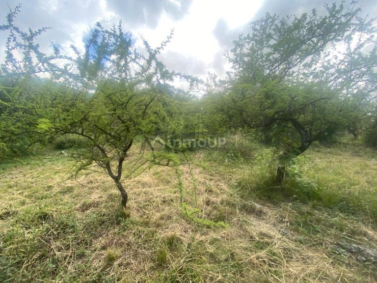 Terreno en Venta en Santa Maria, Cordoba