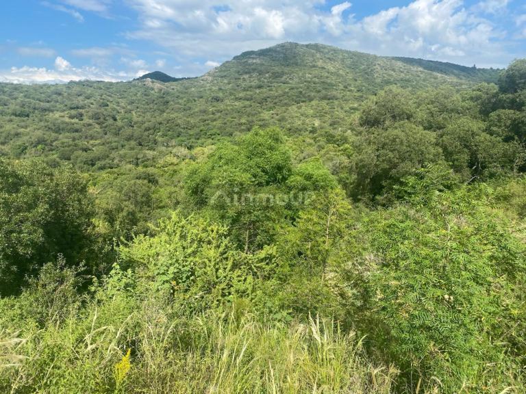 Terreno en Venta en Santa Maria, Cordoba