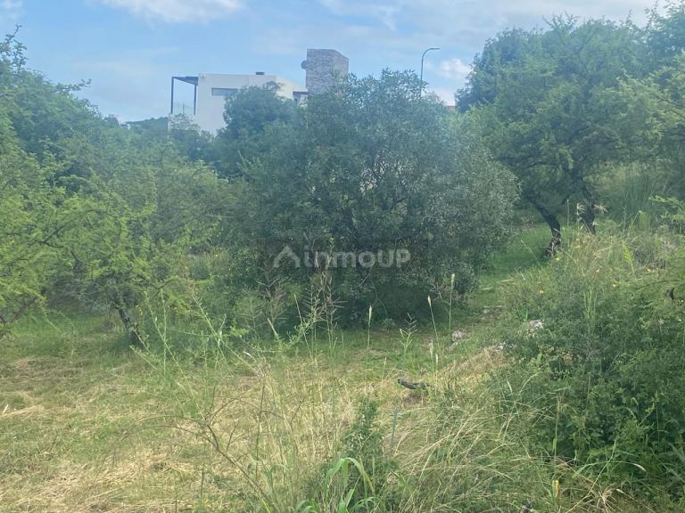Terreno en Venta en Santa Maria, Cordoba