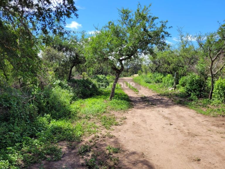 Terreno en Venta en San Javier, Cordoba