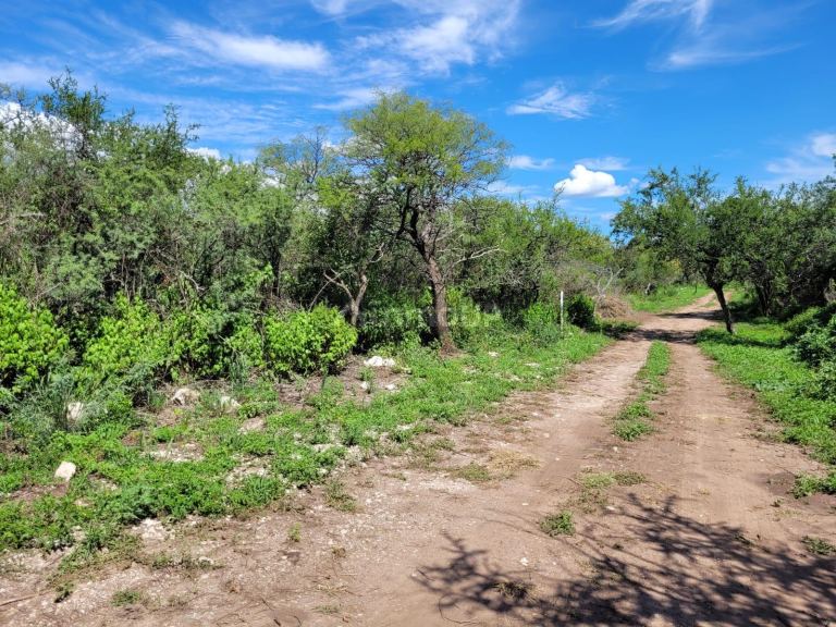Terreno en Venta en San Javier, Cordoba