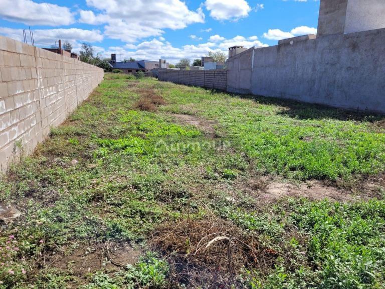 Terreno en Venta en San Alberto, Cordoba