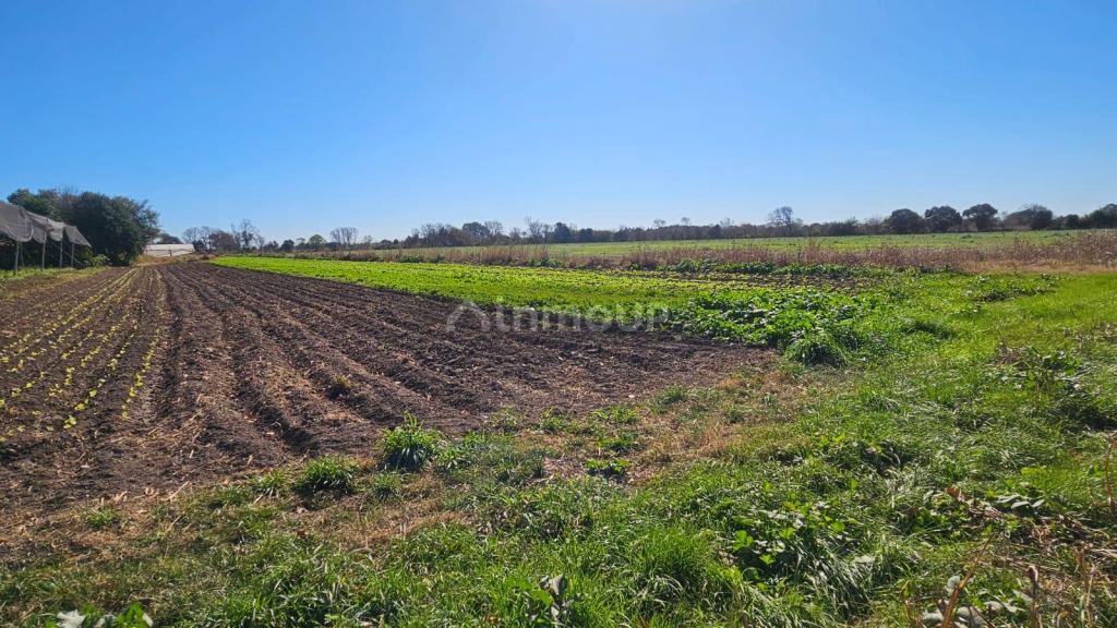 Campo en Venta en Colon, Cordoba