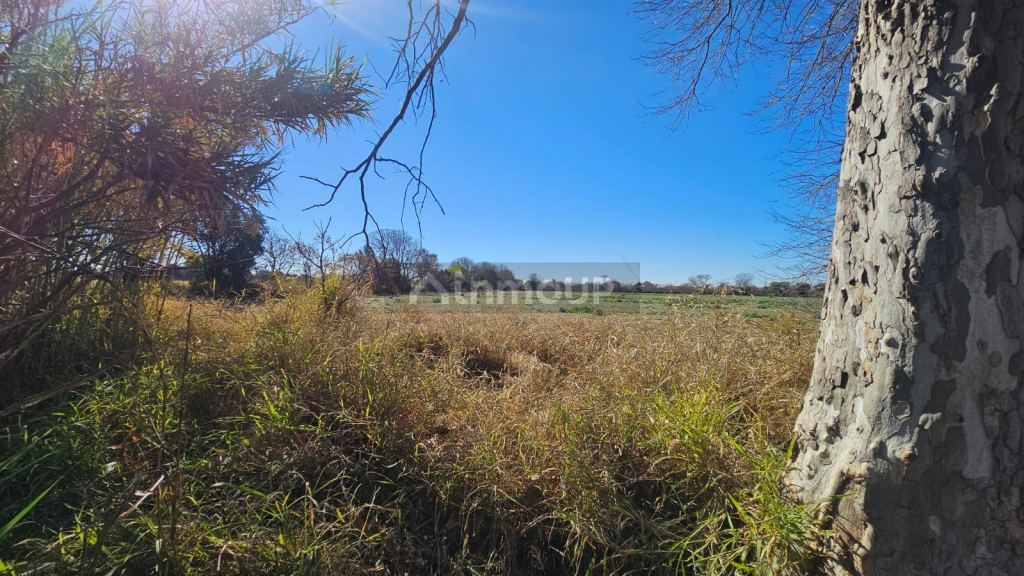 Campo en Venta en Colon, Cordoba