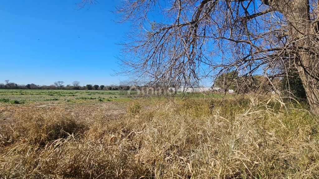 Campo en Venta en Colon, Cordoba