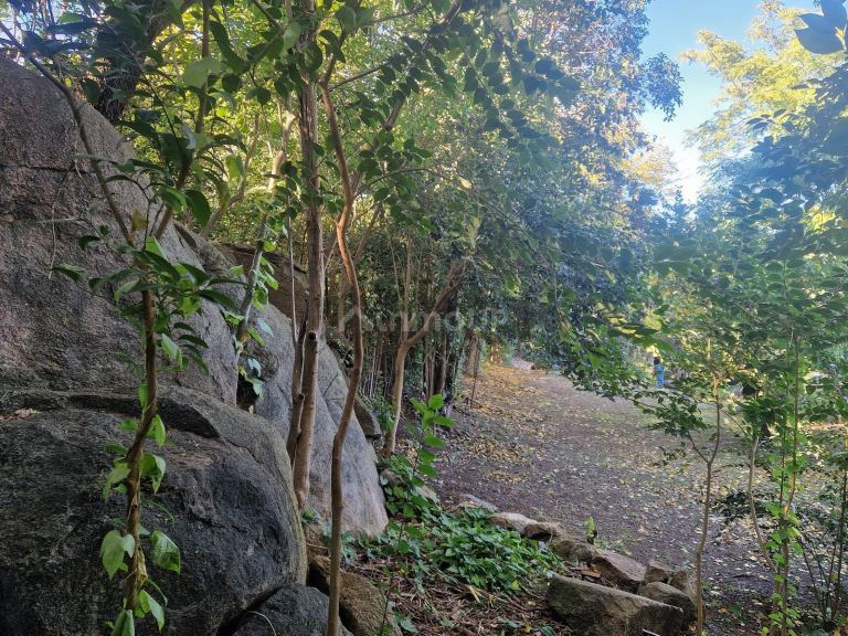 Terreno en Venta en San Javier, Cordoba