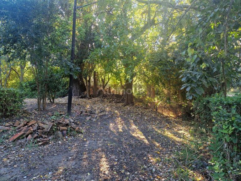Terreno en Venta en San Javier, Cordoba