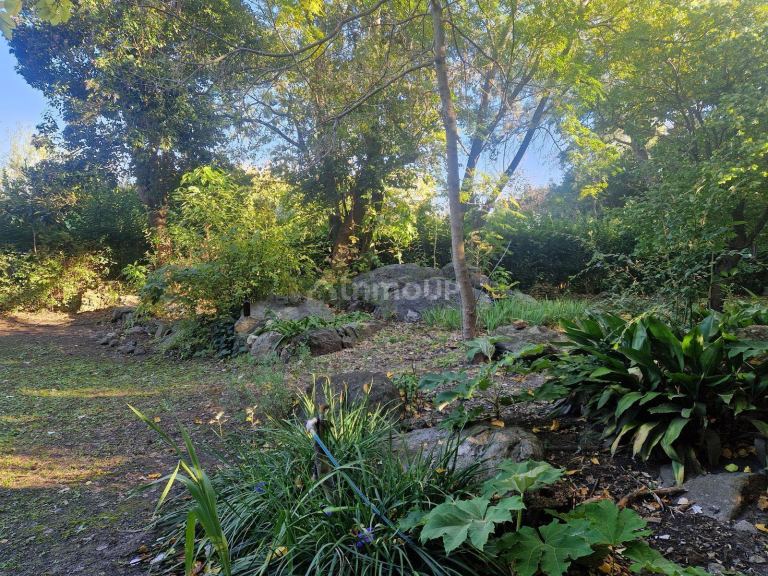 Terreno en Venta en San Javier, Cordoba