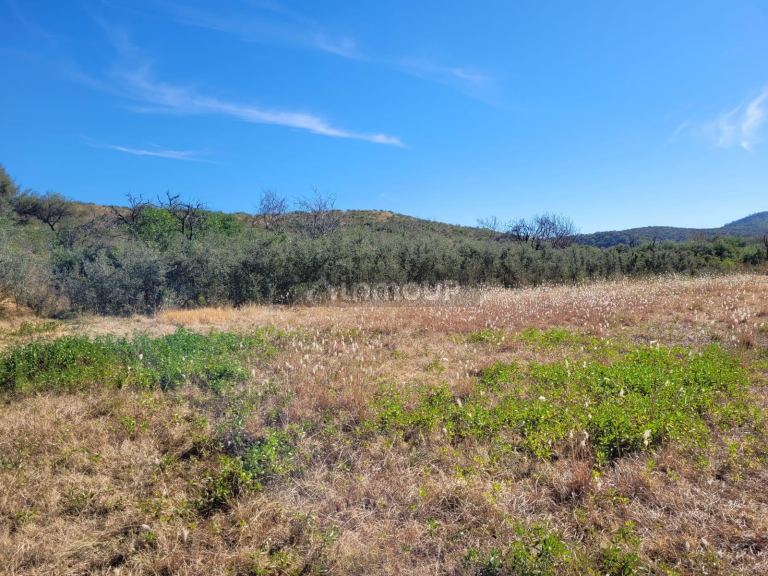 Terreno en Venta en San Javier, Cordoba