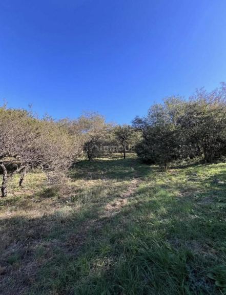 Terreno en Venta en Colon, Cordoba
