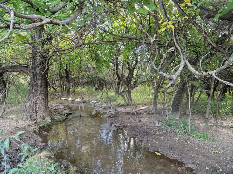 Campo en Venta en San Javier, Cordoba