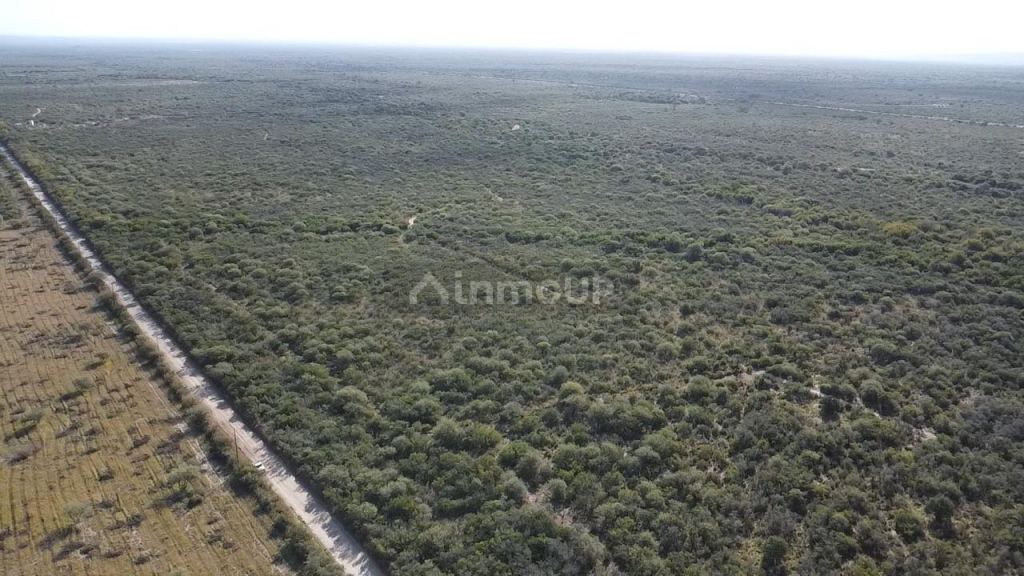 Campo en Venta en San Javier, Cordoba