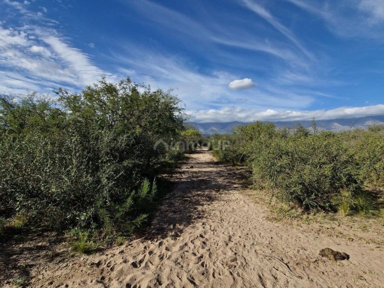 Campo en Venta en San Javier, Cordoba