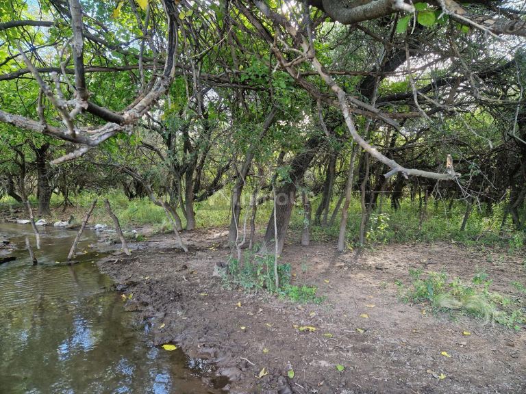 Campo en Venta en San Javier, Cordoba