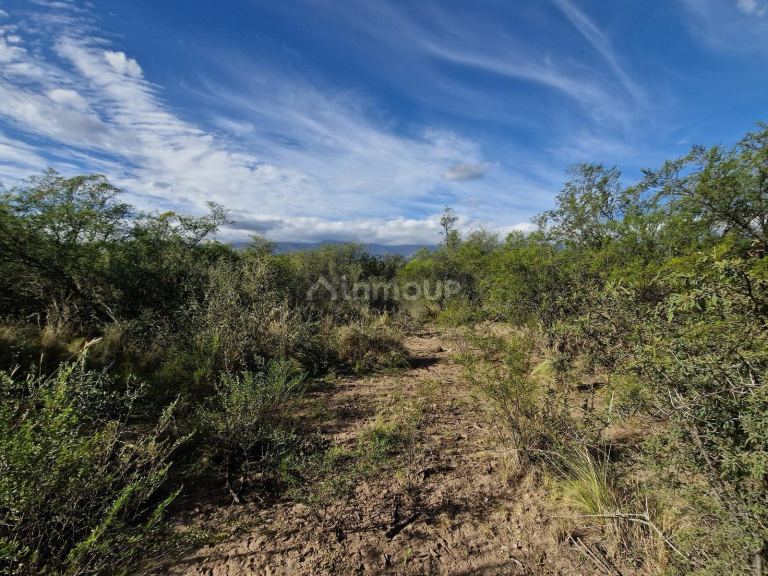 Campo en Venta en San Javier, Cordoba