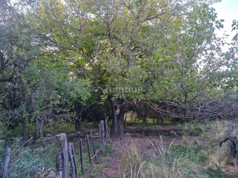 Campo en Venta en San Javier, Cordoba