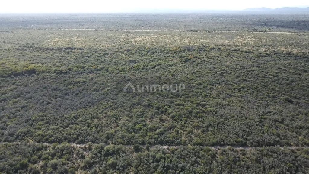 Campo en Venta en San Javier, Cordoba