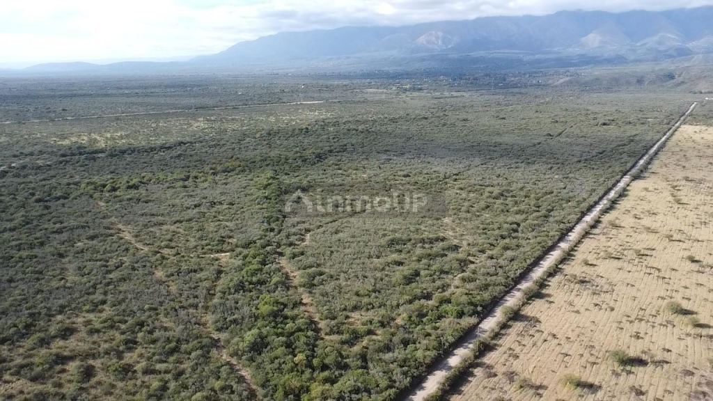 Campo en Venta en San Javier, Cordoba