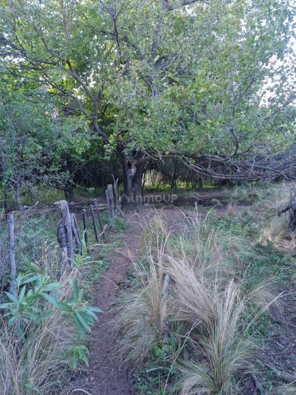 Campo en Venta en San Javier, Cordoba