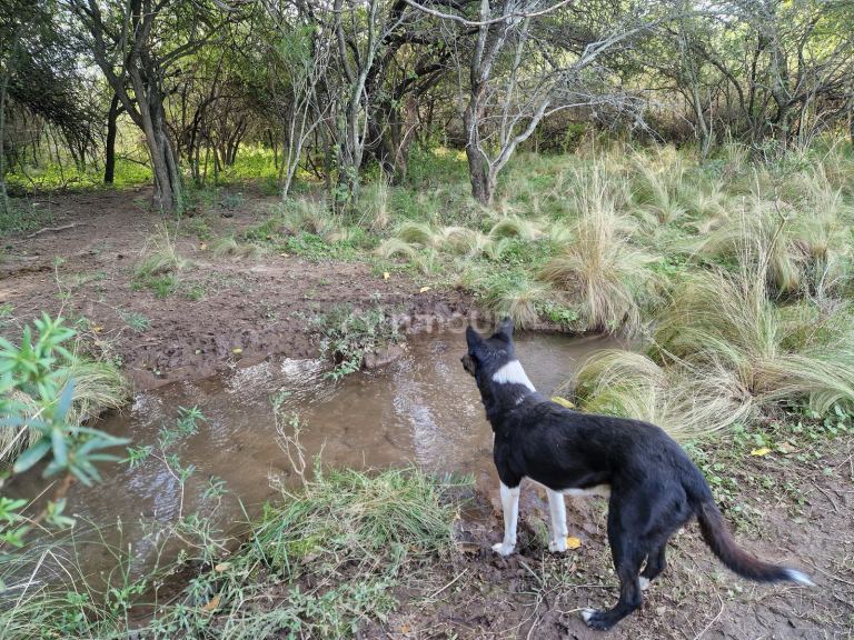 Campo en Venta en San Javier, Cordoba
