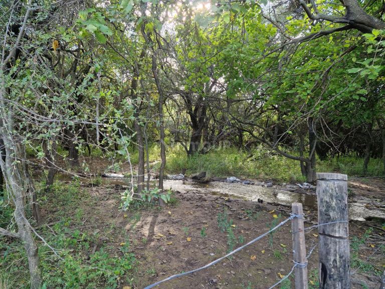 Campo en Venta en San Javier, Cordoba