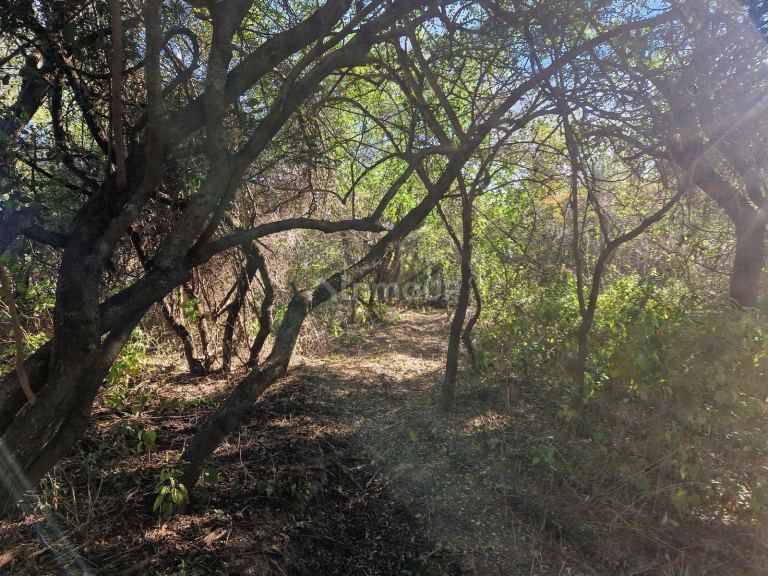 Terreno en Venta en San Javier, Cordoba