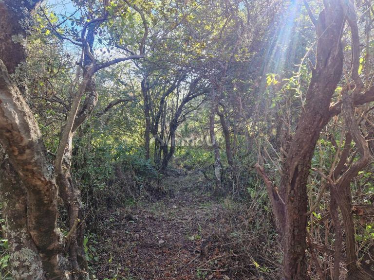 Terreno en Venta en San Javier, Cordoba
