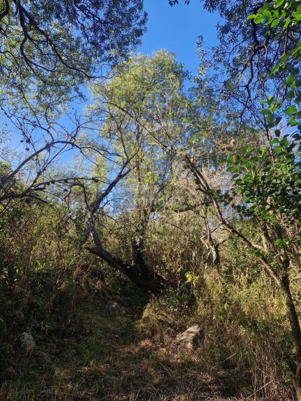 Terreno en Venta en San Javier, Cordoba