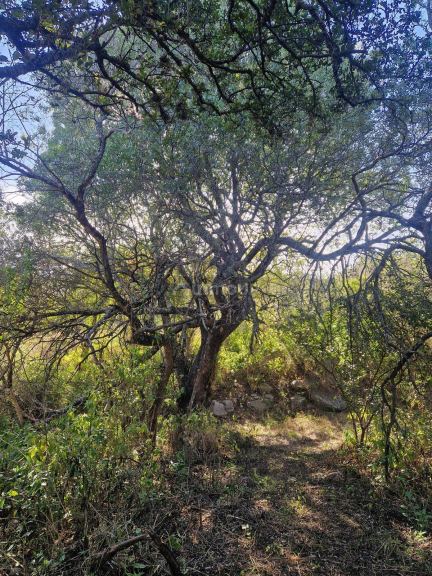 Terreno en Venta en San Javier, Cordoba