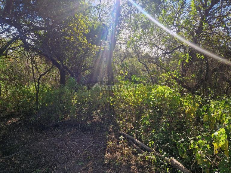 Terreno en Venta en San Javier, Cordoba