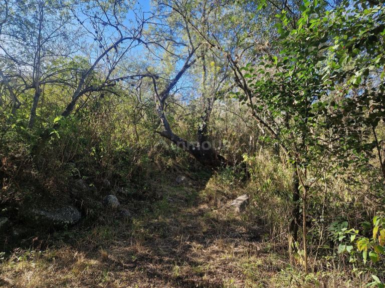Terreno en Venta en San Javier, Cordoba