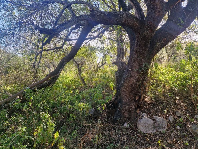 Terreno en Venta en San Javier, Cordoba