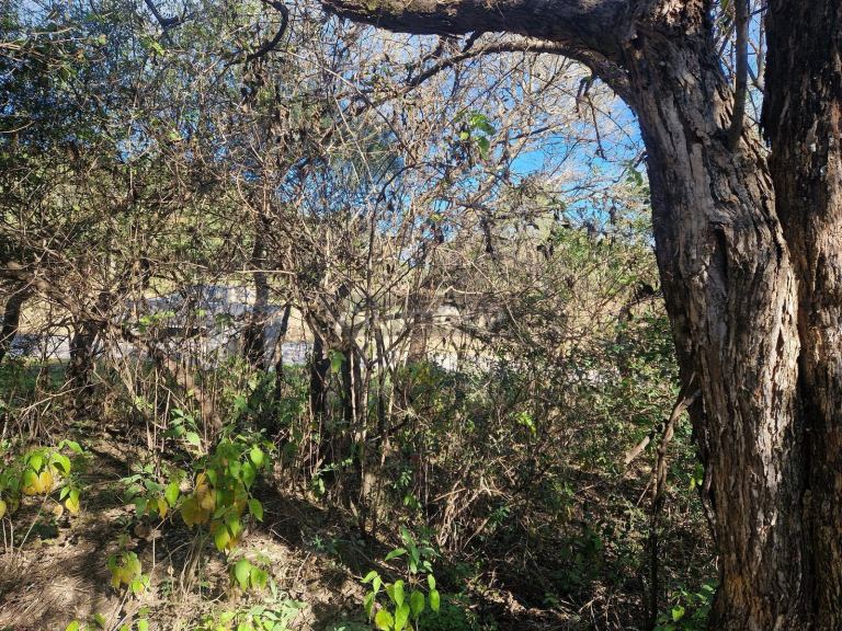 Terreno en Venta en San Javier, Cordoba