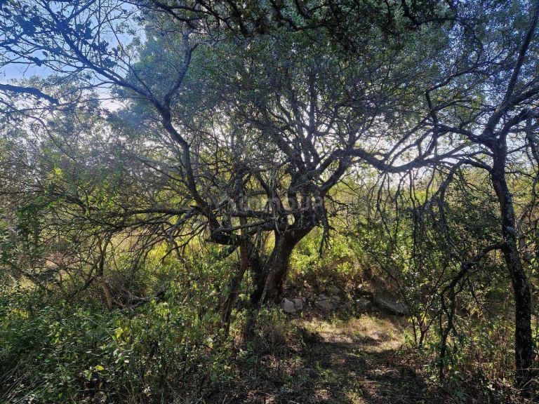 Terreno en Venta en San Javier, Cordoba