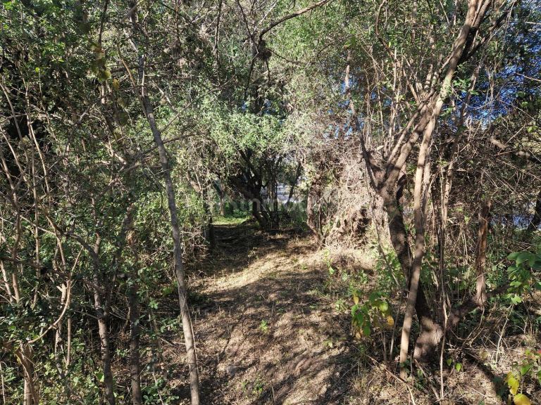 Terreno en Venta en San Javier, Cordoba