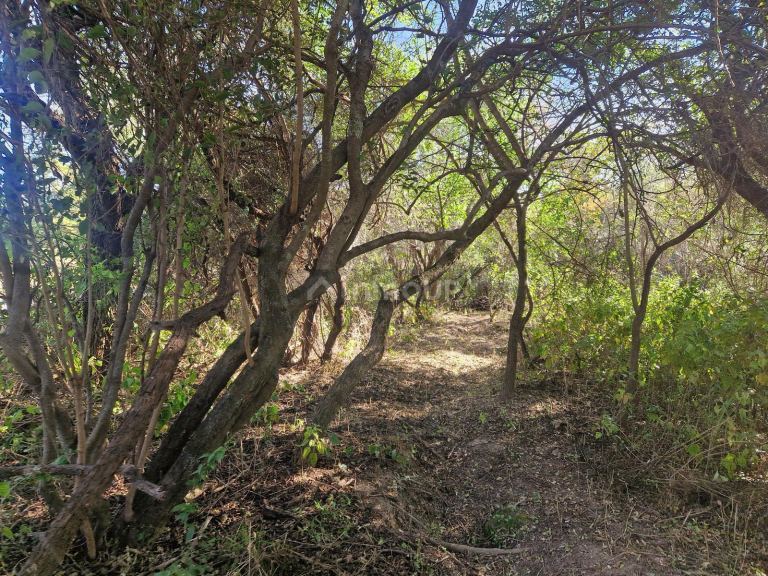 Terreno en Venta en San Javier, Cordoba