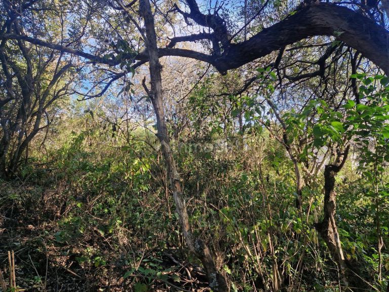 Terreno en Venta en San Javier, Cordoba