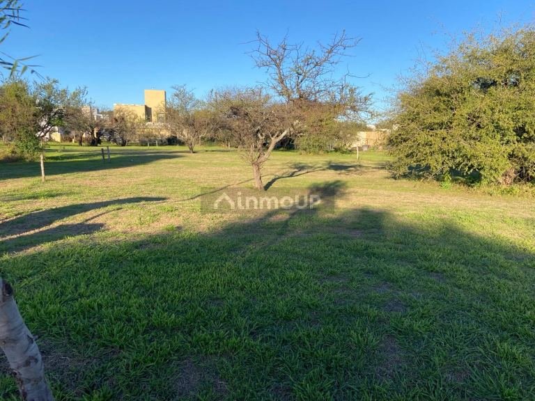 Terreno en Venta en Santa Maria, Cordoba