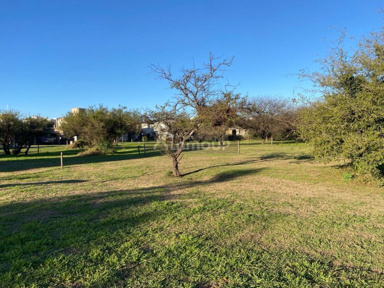Terreno en Venta en Santa Maria, Cordoba