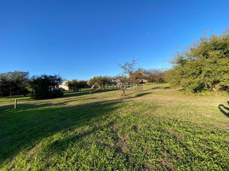 Terreno en Venta en Santa Maria, Cordoba