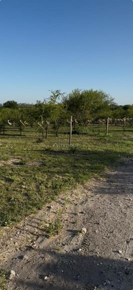 Terreno en Venta en Santa Maria, Cordoba