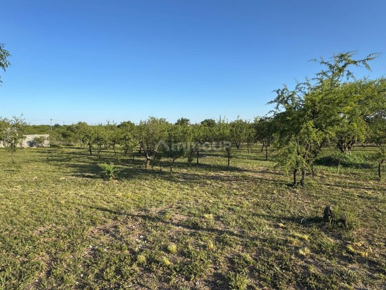Terreno en Venta en Santa Maria, Cordoba