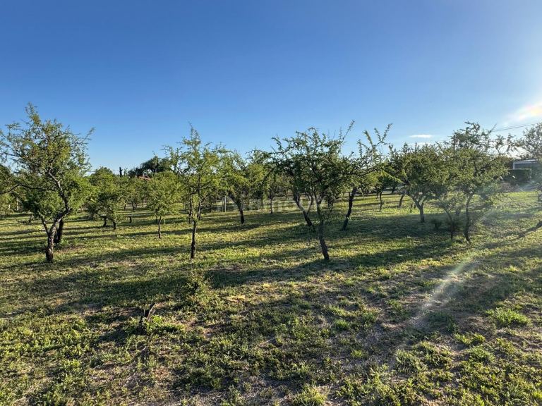 Terreno en Venta en Santa Maria, Cordoba
