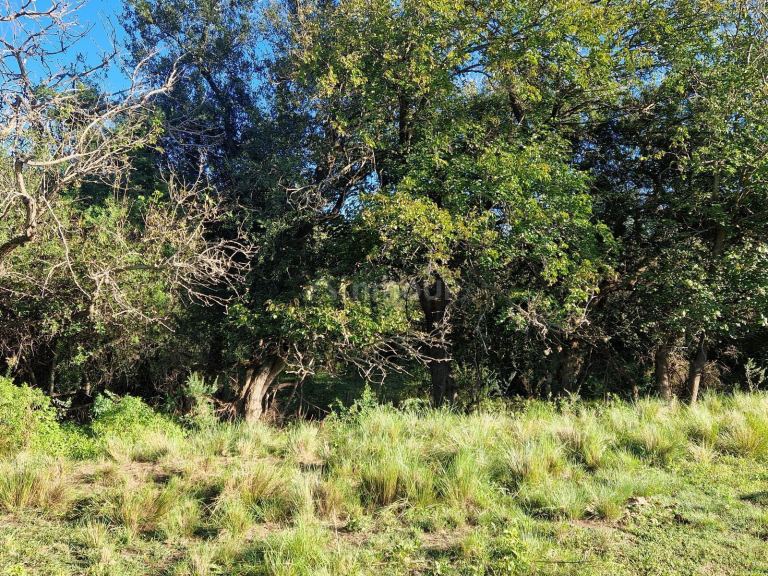 Terreno en Venta en San Javier, Cordoba