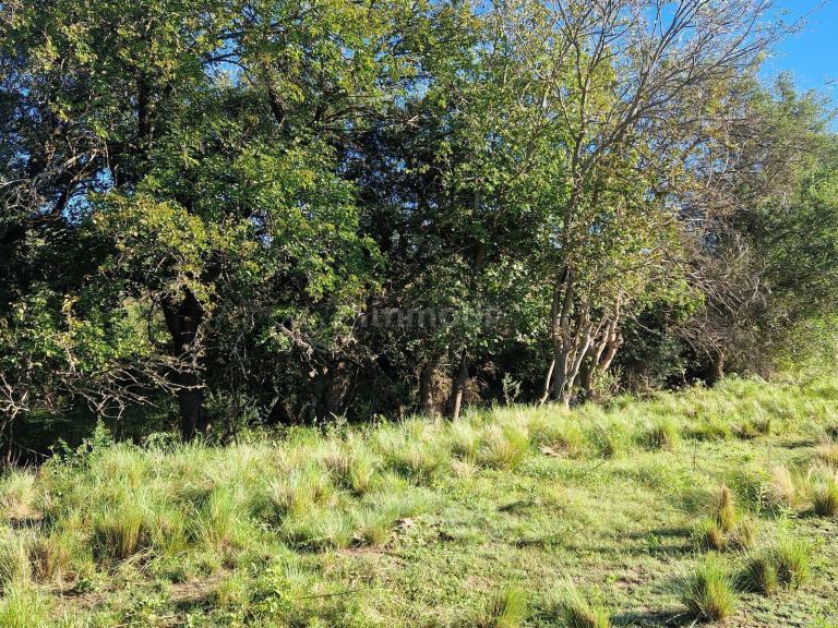 Terreno en Venta en San Javier, Cordoba
