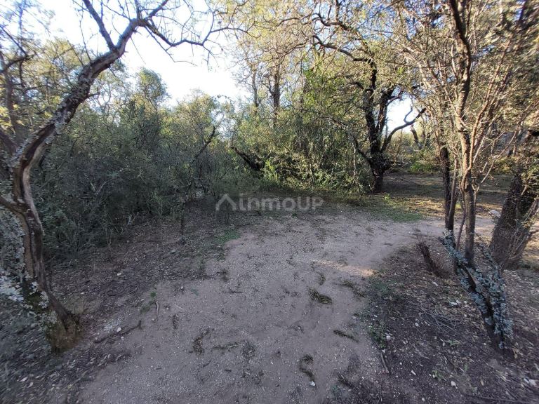 Terreno en Venta en San Javier, Cordoba