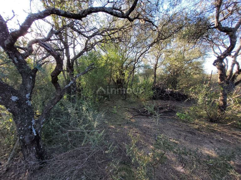 Terreno en Venta en San Javier, Cordoba